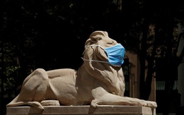 WHO 'dập tắt' hi vọng COVID-19 sẽ biến mất vào mùa hè