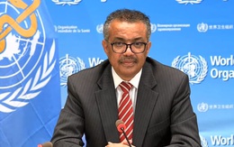 WHO đánh giá sự xuất hiện các ca COVID-19 mới ở Việt Nam không quá đáng ngại