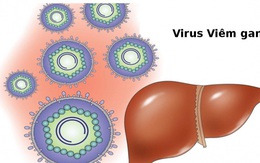 Việt Nam đang nằm trong vùng có tỷ lệ lây nhiềm virus viêm gan cao nhất