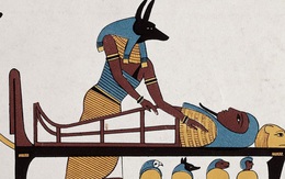 Anubis - Vị thần chết Ai Cập được tôn vinh bởi 8 triệu con chó xác ướp