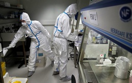 WHO cảnh báo lỗ hổng chết người của tham vọng "miễn dịch cộng đồng": Không phải cứ khỏi COVID-19 là xong!