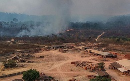 Bất ngờ các vụ cháy tại Amazon đạt mức kỉ lục