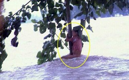 Cuộc sống sau 22 năm của cô bé 7 tuổi kiên cường ôm thân cây suốt 9 tiếng giữa trận “đại hồng thủy” năm 1998