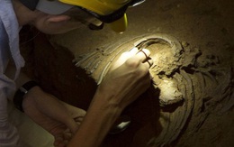 Nhiều người hiện đại mang DNA... loài người khác liên quan đến Covid-19