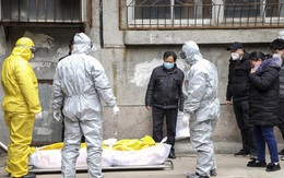 WHO sửa thông tin, nói phát hiện Covid-19 nhờ... tự đọc, 2 lần nhắc Trung Quốc báo cáo: Bắc Kinh nói gì?