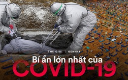 6 tháng hơn nửa triệu người chết, Covid-19 vẫn để lại một bí ẩn cực lớn: Nó thực sự chết chóc đến mức nào?