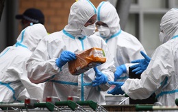 Sex trong khu cách ly khiến COVID-19 tái bùng lên ở Úc