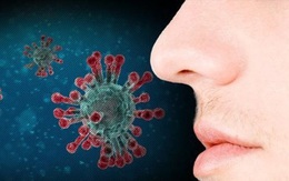 Xác định tế bào gây mất mùi ở bệnh nhân COVID-19