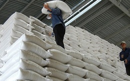 Tổng cục Dự trữ nói gì trước thông tin mua 'hụt' chỉ tiêu gạo?