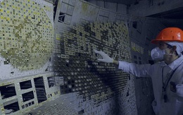 NASA muốn mang nấm ở Chernobyl lên trồng ở sao Hỏa, bởi nó có thể hấp thụ bức xạ vũ trụ để sống