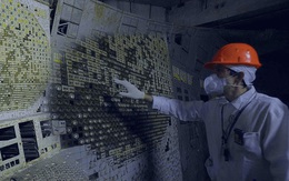 NASA muốn mang nấm ở Chernobyl lên trồng ở Sao Hỏa, bởi nó có thể hấp thụ bức xạ vũ trụ để sống