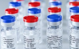 Người dân Nga có thể được tiêm chủng vaccine ngừa COVID-19 vào giữa tháng 9