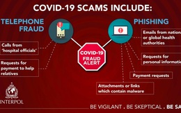 Việt - Mỹ hợp tác điều tra 3 nghi phạm lợi dụng COVID-19 lừa đảo 7.000 người Mỹ