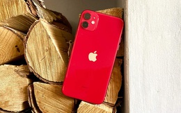 Cả thị trường smartphone sụt giảm, chỉ duy nhất doanh số iPhone tăng vọt tới 25% giữa đại dịch