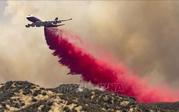 Sơ tán gần 8.000 người do cháy rừng tại Nam California
