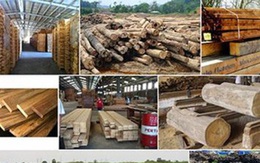 Chế biến gỗ và sản xuất sản phẩm từ gỗ ảnh hưởng mạnh bởi Covid-19