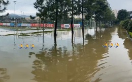 Sân tập của CLB Viettel biến thành "bể bơi" sau trận mưa lớn, ngập sâu chẳng kém các khu phố trung tâm Hà Nội