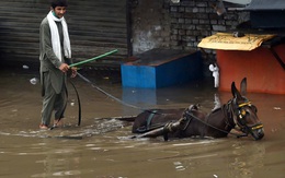 24h qua ảnh: Người đàn ông điều khiển xe lừa trên phố ngập lụt