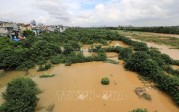 Mực nước sông Hồng ở Hà Nội lên nhanh, nguy cơ ngập lụt vùng trũng và bãi bồi