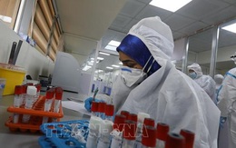 Nguy cơ hệ thống y tế Iraq sụp đổ do người dân thiếu ý thức phòng dịch COVID-19