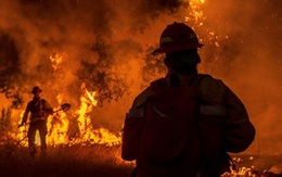California cầu cứu vì gần 600 vụ cháy rừng giữa "bão" COVID-19