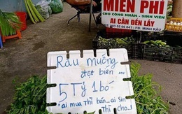 "Khịa" lan đột biến tiền tỷ, người đàn ông treo bảng bán "rau muống đột biến" với giá 5 tỷ một bó, đáng chú ý là câu cuối tấm bảng