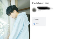 Gửi CV 'cục súc' không ghi tiêu đề và giới thiệu, nhà tuyển dụng càng 'méo mặt' khi đọc nội dung bên trong
