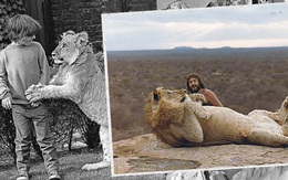 Những bức ảnh khó tin và câu chuyện về chú sư tử được nuôi như thú cưng trước khi trả về tự nhiên