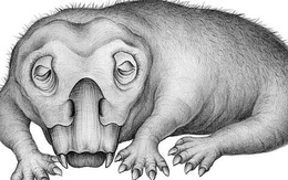 Heo lai khủng long khổng lồ thống trị Nam Cực 250 triệu năm trước