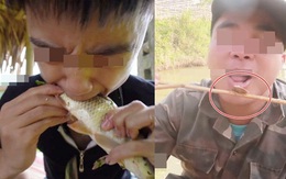 Những màn câu like kinh hãi của Youtuber Việt khi ăn "tất tật" từ cá sống đến gỏi côn trùng rồi cả mỡ lợn nguyên tảng
