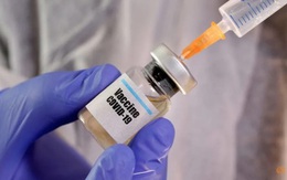 Giám đốc WHO cảnh báo: Có thể không bao giờ có 'viên đạn bạc' diệt COVID-19