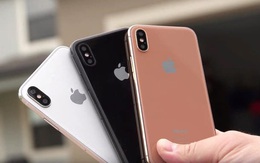 iPhone giảm giá tới 5 triệu đồng, phiên bản "quốc dân" về mức bình dân nhất tháng 8