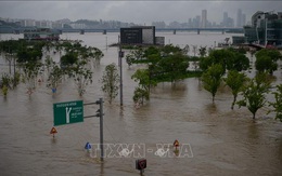 Giới chuyên gia xác định nguyên nhân mưa lũ bất thường tại Hàn Quốc