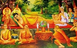 Bị thương đến mức hôn mê, Đức Phật sau khi tỉnh dậy đã nói ra căn nguyên, thức tỉnh tất cả mọi người