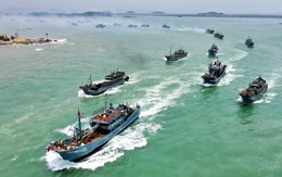 Vấp phản ứng dữ dội vì khai thác kiểu "tận diệt", đội tàu TQ bị cấm đánh bắt ở biển quốc tế