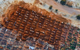 Cập nhật Covid-19: Thế giới hơn 19 triệu ca mắc, 716.073 ca tử vong