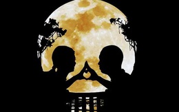 Hình ảnh đầu tiên đập vào mắt bạn tiết lộ bạn sắp phải lo lắng cho điều gì: Sự quá tải của bản thân hay chuyện tình yêu đang bị đe dọa?