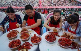 Chạy theo lợi nhuận, nông dân Trung Quốc không ngờ hậu quả khó lường: "Tham thì thâm"?