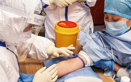 Máu của những bệnh nhân COVID-19 khỏi bệnh: Món quà vô giá cho y học và cuộc đua tìm kiếm thuốc cho đại dịch