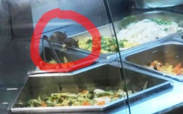 Kinh hãi những chú chuột "vô tư gặm nhấm" đồ ăn trong quầy bán thức ăn sẵn trong trung tâm thương mại ở Sài Gòn