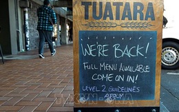 Điểm sáng hiếm hoi New Zealand: 100 ngày 'sạch' COVID-19