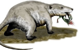 Tìm thấy dấu vết của động vật có vú trên hóa thạch của loài khủng long Mamenchisaurus