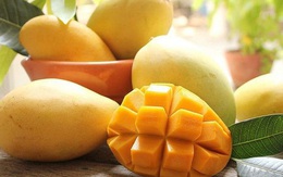 Quả xoài giúp làm đẹp, ngừa ung thư, nhưng tuyệt đối không kết hợp với những thực phẩm này