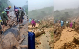 Cơn bão số 5: Sạt lở đất sau bão vùi lấp đàn trâu 8 con ở Nghệ An