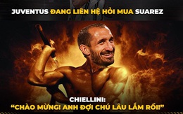 Biếm họa 24h: Chiellini chờ ngày “gặp lại” Suarez