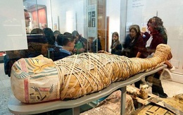 Bí ẩn đằng sau 13 xác ướp mới được đào lên trong giếng cổ Ai Cập