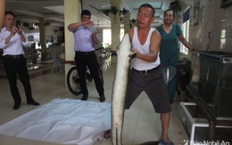 Người dân bắt được 2 con cá lệch 'khủng' trên Sông Lam, bán hơn 30 triệu đồng