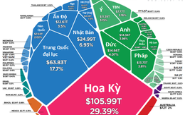 Việt Nam chiếm bao nhiêu phần trăm trong tài sản ròng toàn cầu?