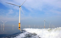 'Đại gia' Anh muốn đầu tư điện gió ở Bình Thuận, nếu được làm lưới truyền tải sẽ sản xuất thiết bị ở Việt Nam, đổ 6 tỷ USD vào nền kinh tế