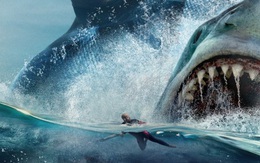 Kích thước chính xác của siêu quái vật Megalodon cuối cùng cũng được xác định